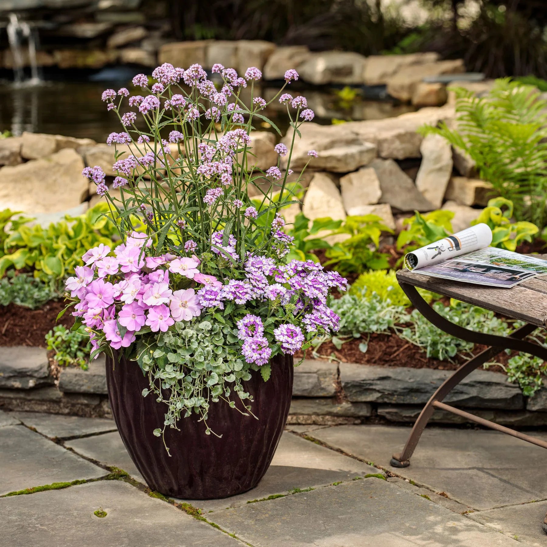 Proven Winners® Superbena Sparkling® Amethyst Verbena