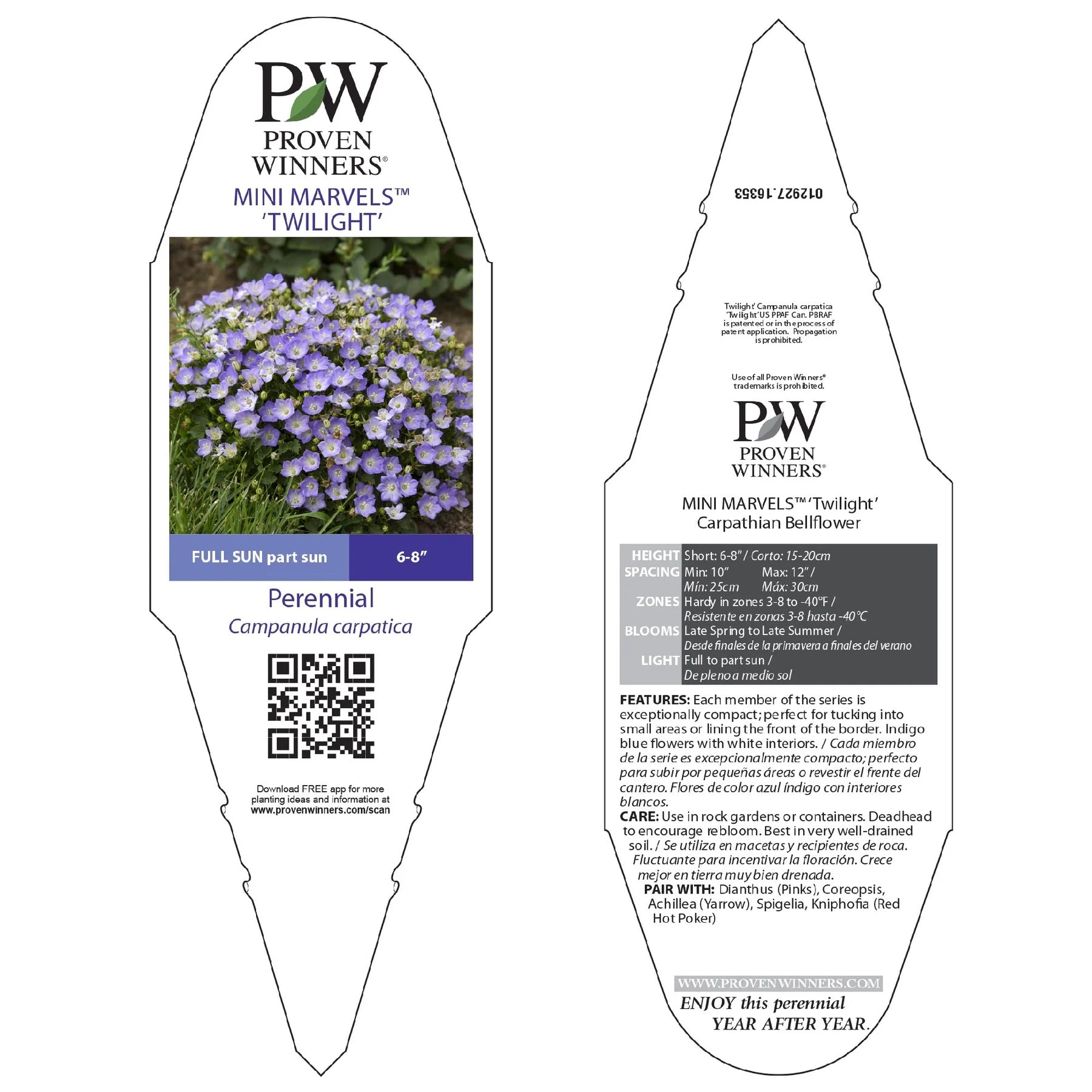 Proven Winners® Mini Marvels™ 'Twilight' Carpathian Bellflower (Campanula carpatica)
