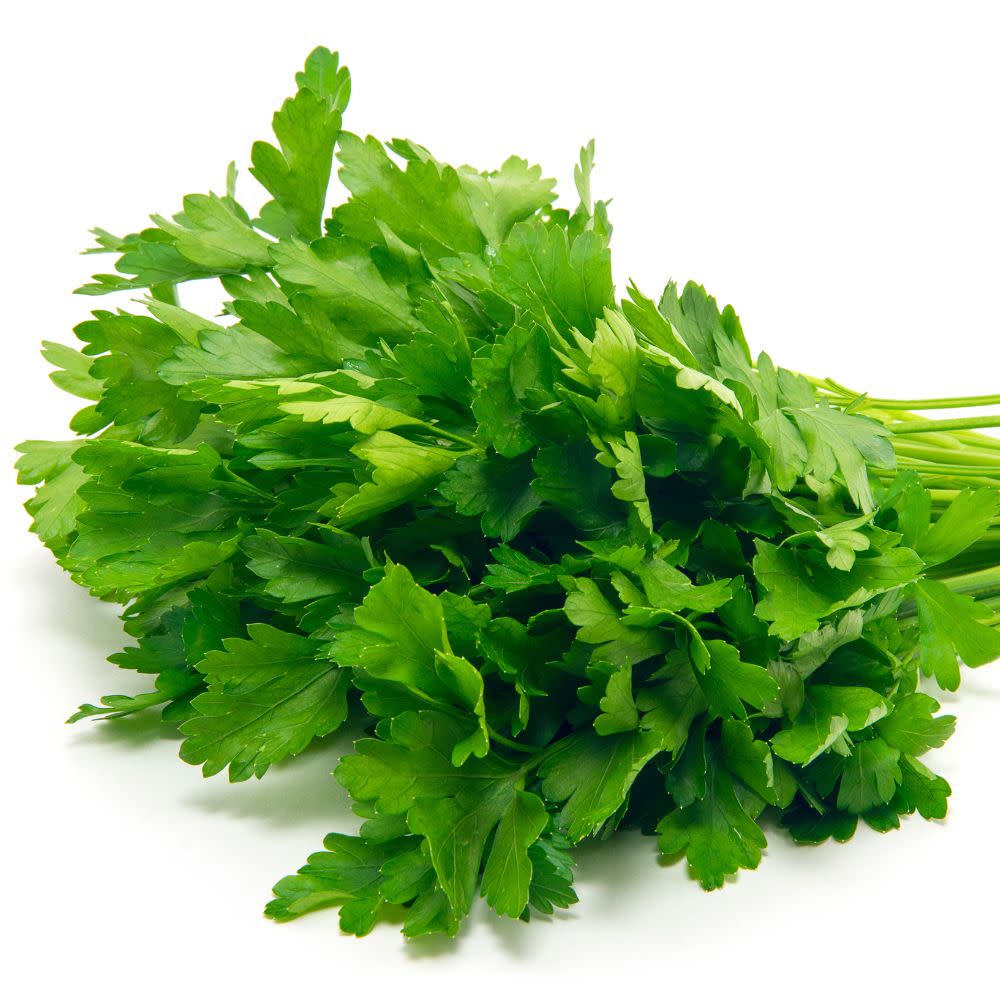 Proven Selections® Flat Leaf Parsley (Petroselinum neapolitanum)