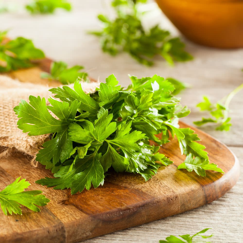 Proven Selections® Flat Leaf Parsley (Petroselinum neapolitanum)