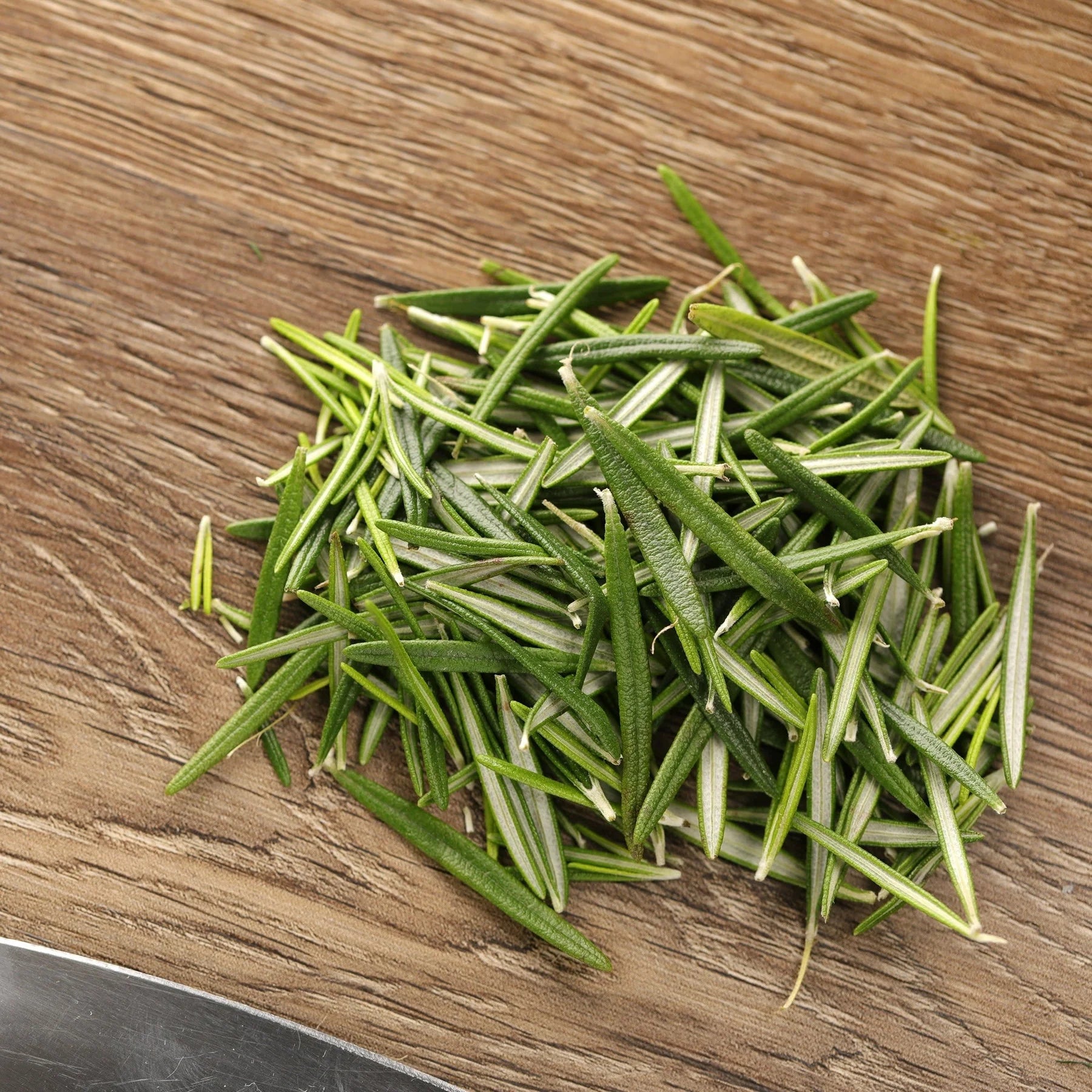 Proven Selections® Prime Rosemary (Salvia rosmarinus)