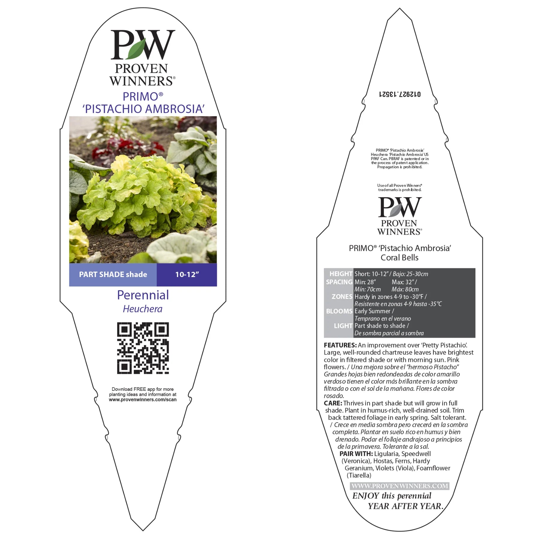 Proven Winners® Primo® 'Pistachio Ambrosia' Coral Bells (Heuchera)