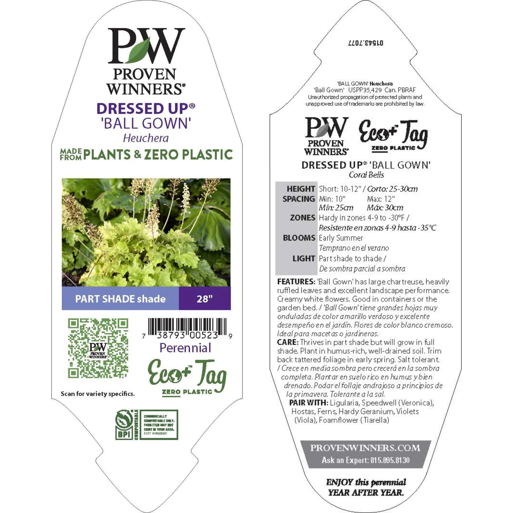 Proven Winners® Dressed Up® 'Ball Gown' Coral Bells (Heuchera)