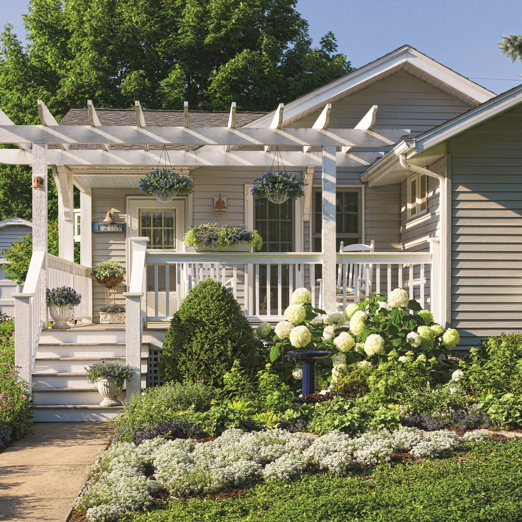 Proven Winners® Incrediball® Smooth Hydrangea (arborescens)