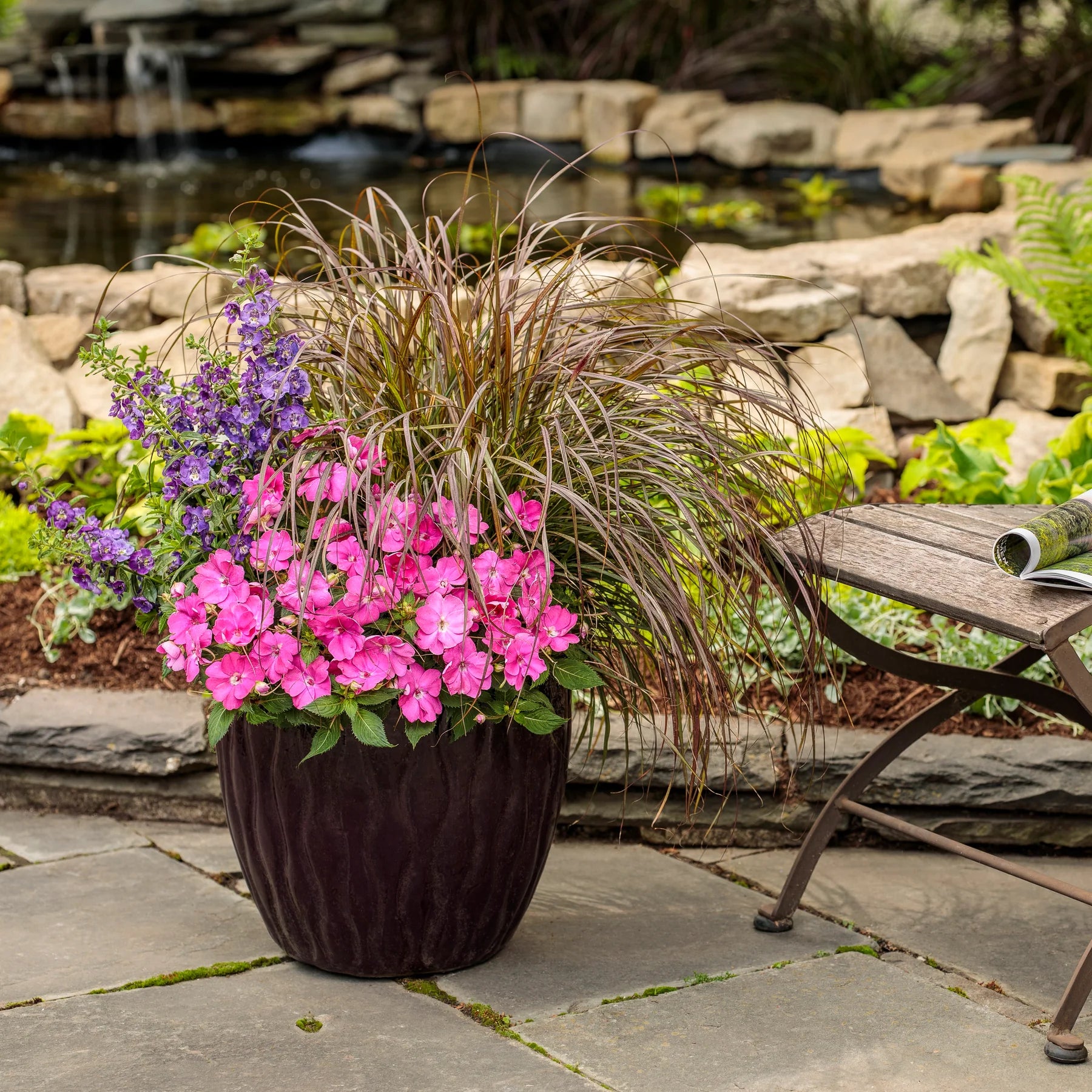 Proven Selections® SunPatiens® Compact Hot Pink Impatiens (x hybrida)