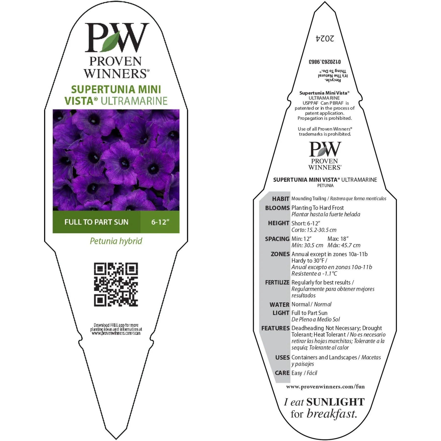 Proven Winners® Supertunia Mini Vista® Ultramarine Petunia