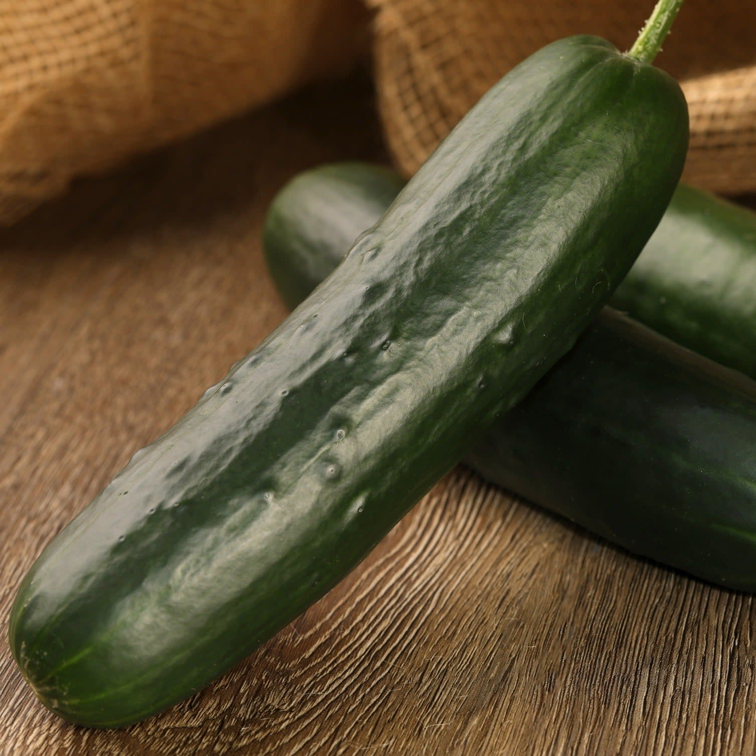 Proven Selections® Straight Eight Slicing Cucumber (Cucumis sativus)