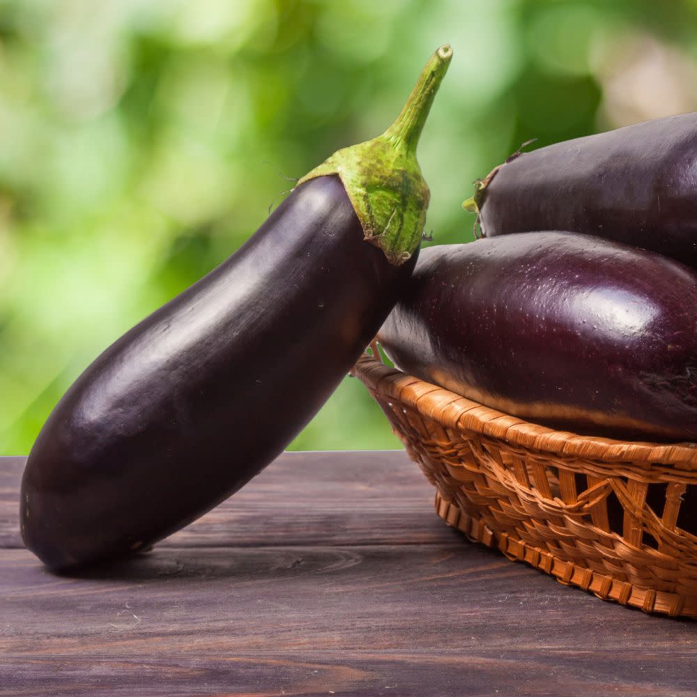 Proven Selections® Eggplant (Solanum melongena)