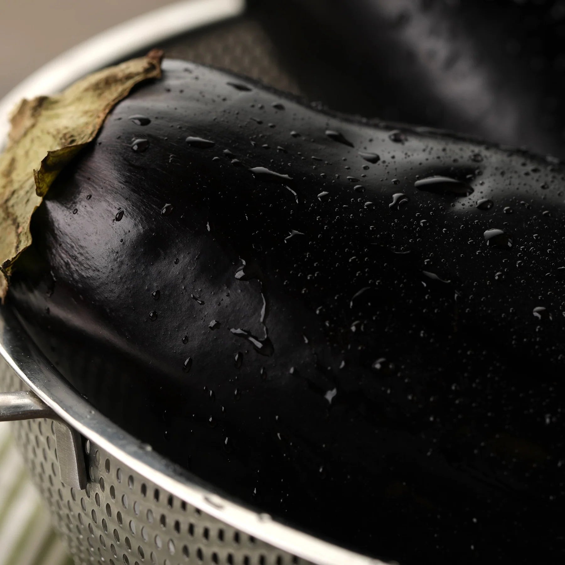 Proven Selections® Eggplant (Solanum melongena)