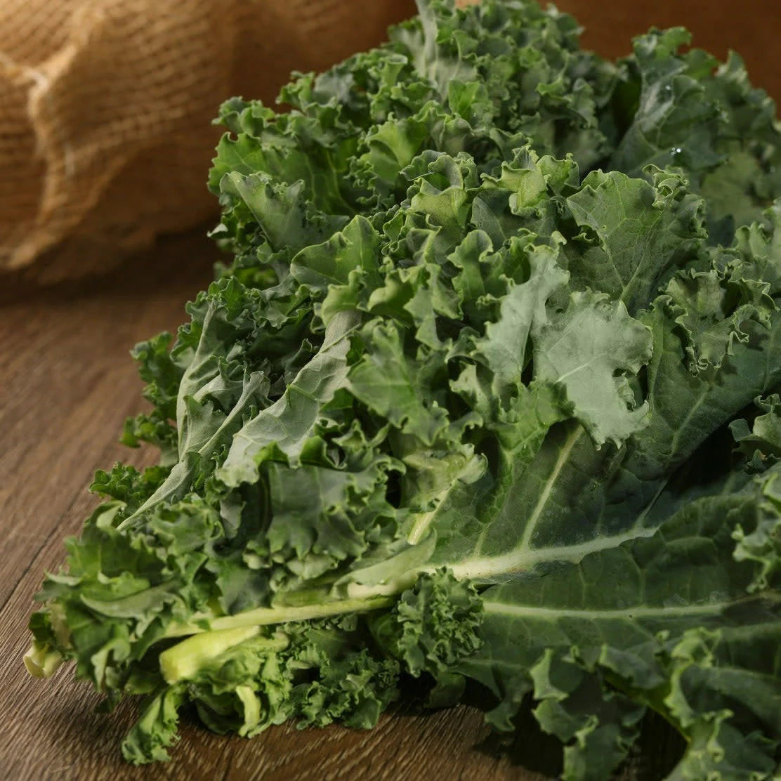 Proven Selections® Mixed Kale (Brassica oleracea var. sabellica)