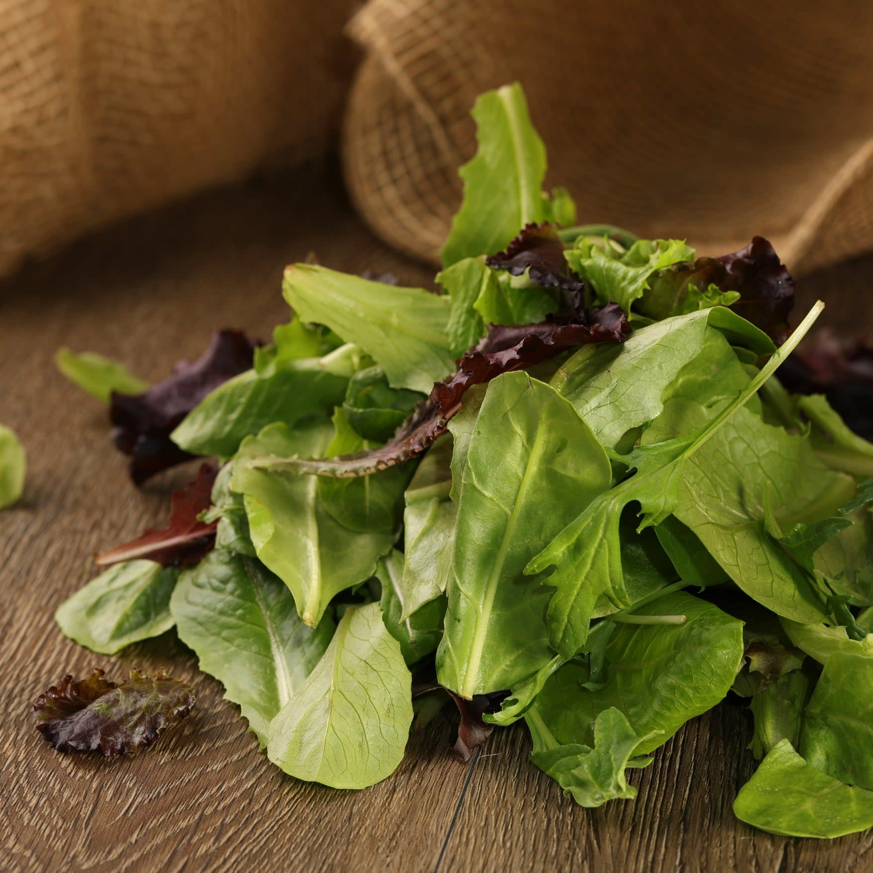 Proven Selections® Mixed Lettuce (Lactuca sativa)