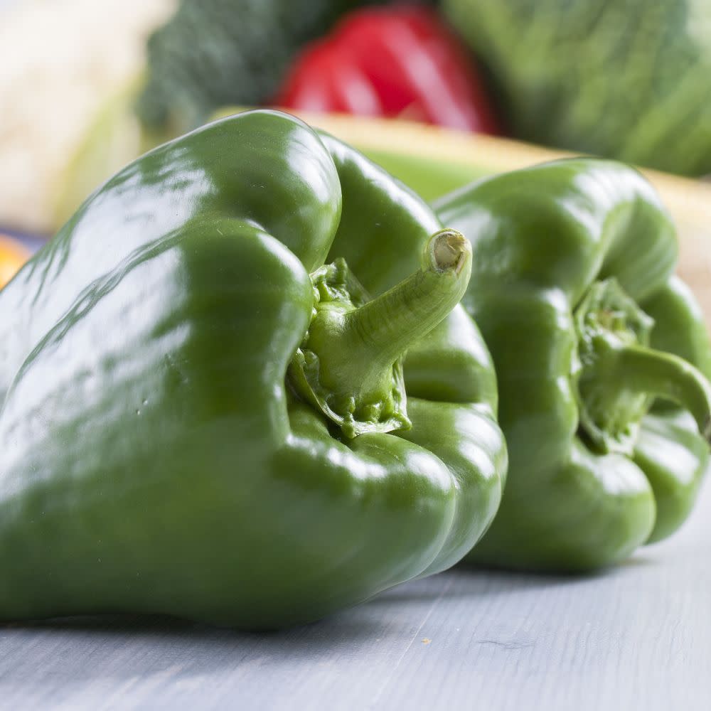 Proven Selections® Bell Boy Bell Pepper (Capsicum annuum)