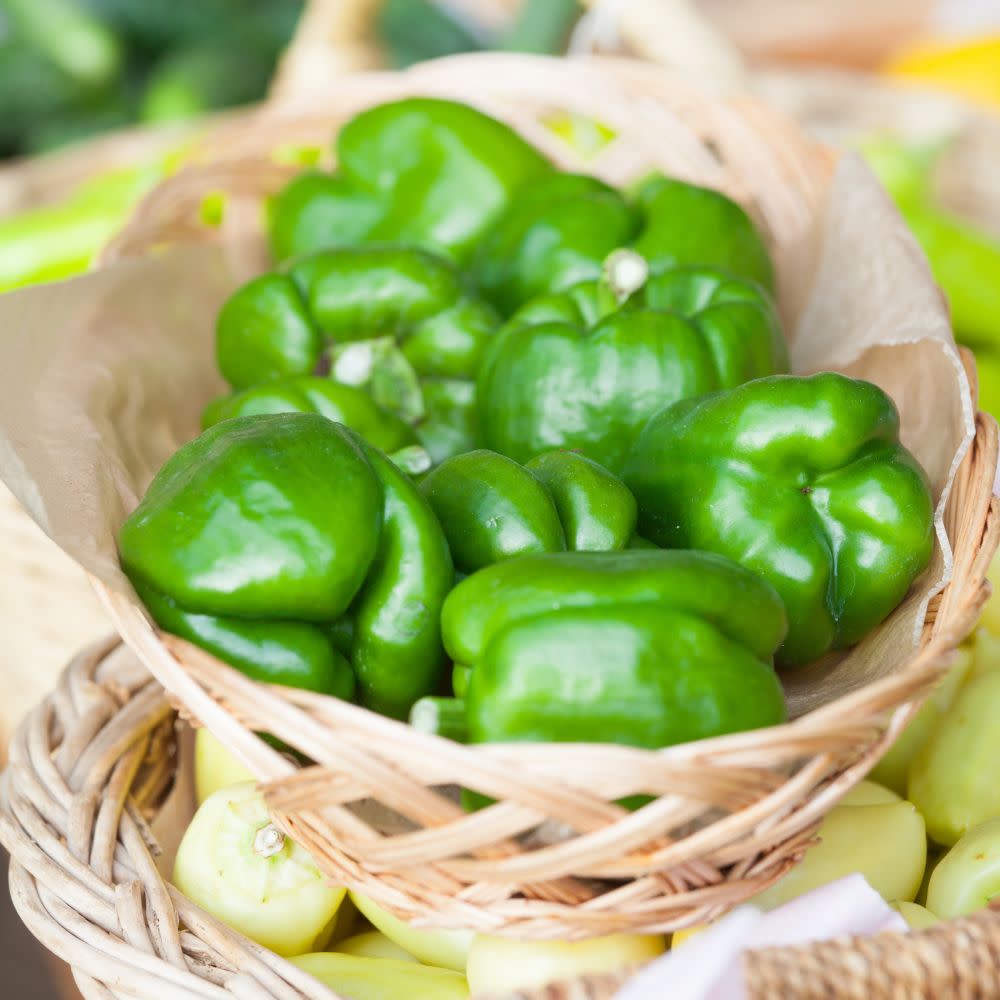 Proven Selections® Bell Boy Bell Pepper (Capsicum annuum)