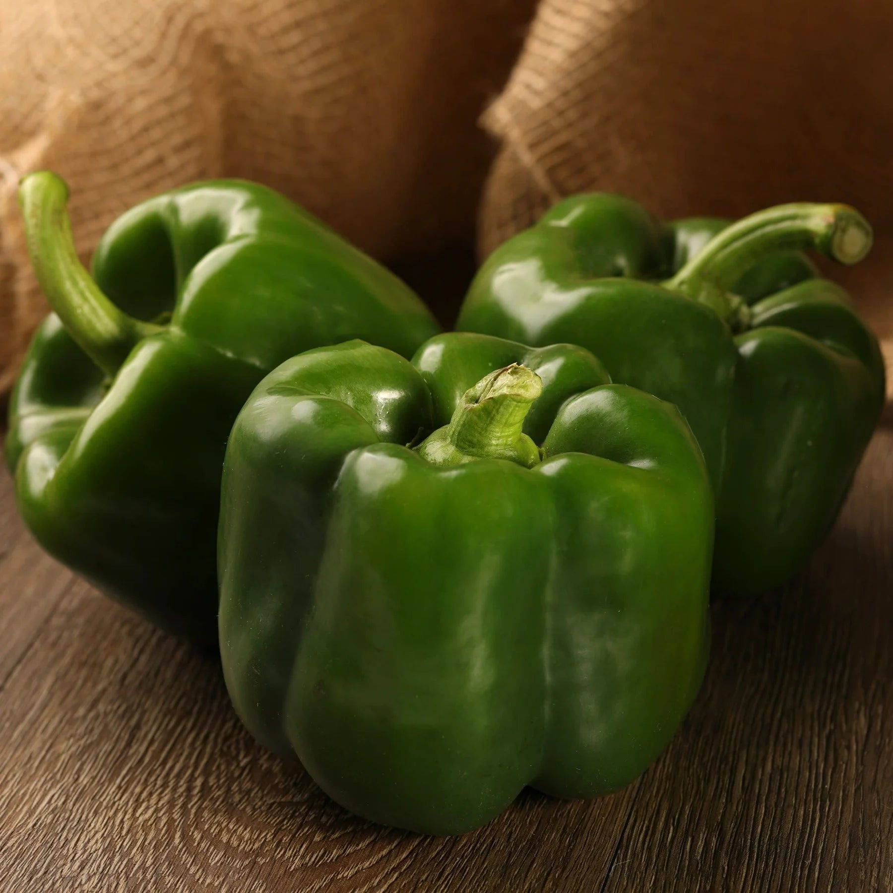 Proven Selections® Bell Boy Bell Pepper (Capsicum annuum)