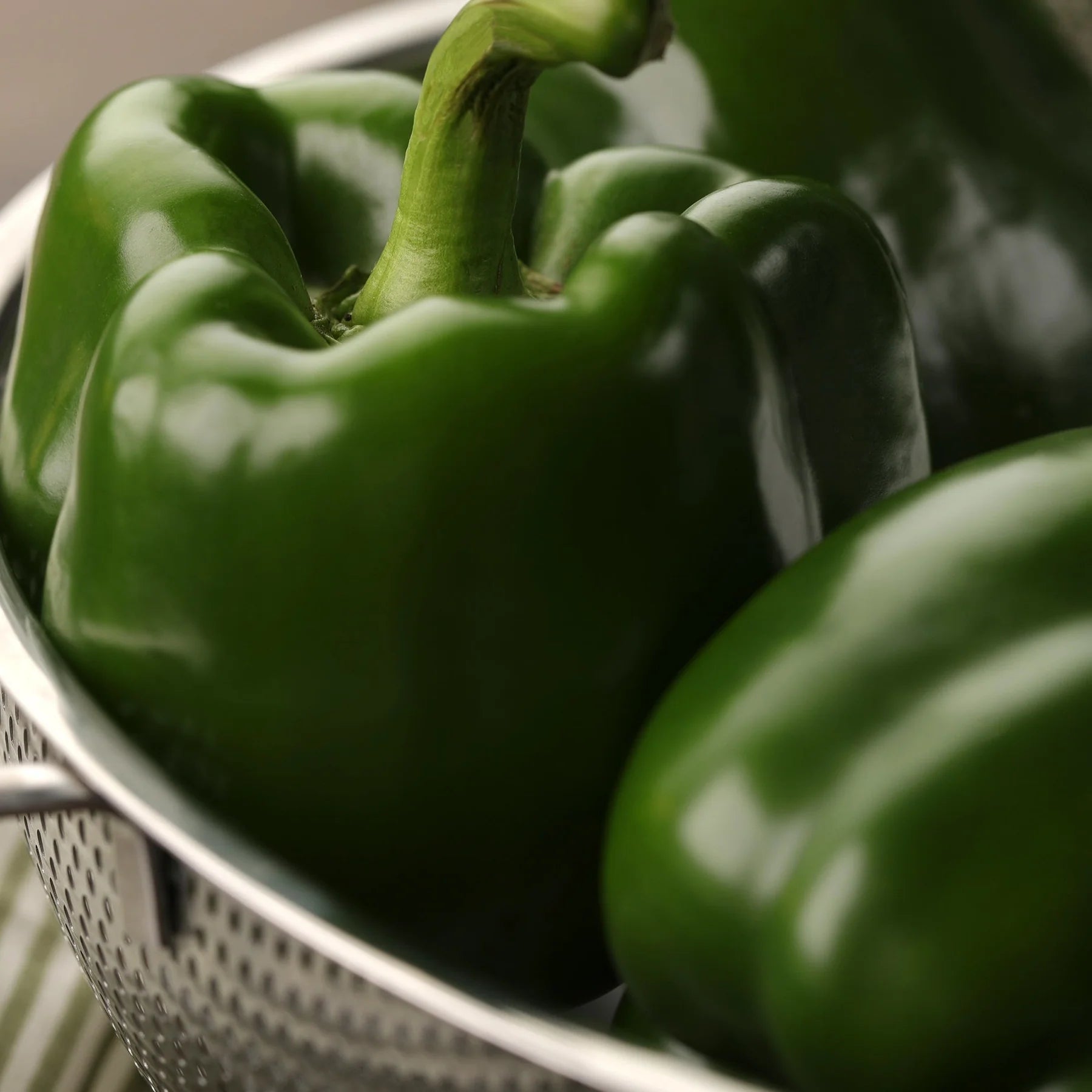 Proven Selections® Bell Boy Bell Pepper (Capsicum annuum)