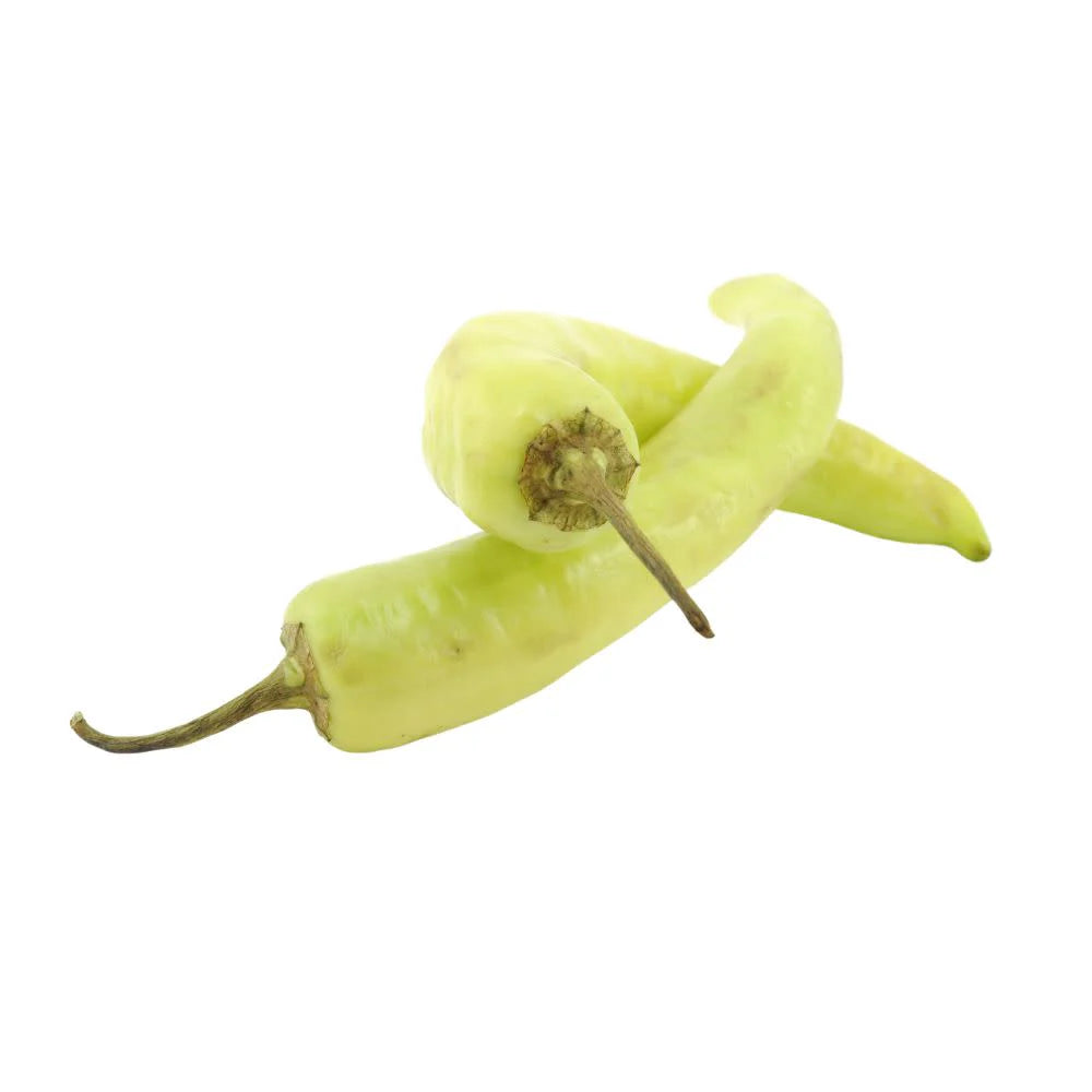 Proven Selections® Hungarian Sweet Wax Pepper (Capsicum annuum)