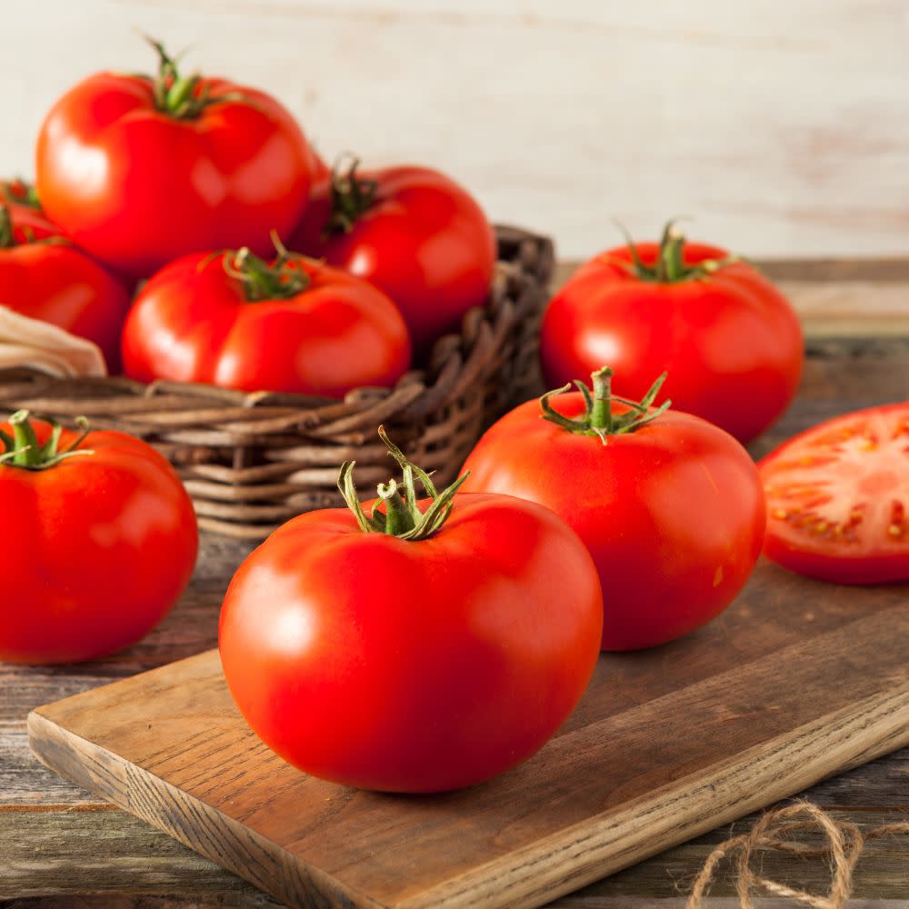 Proven Selections® Beefsteak Heirloom Tomato (Solanum lycopersicum)