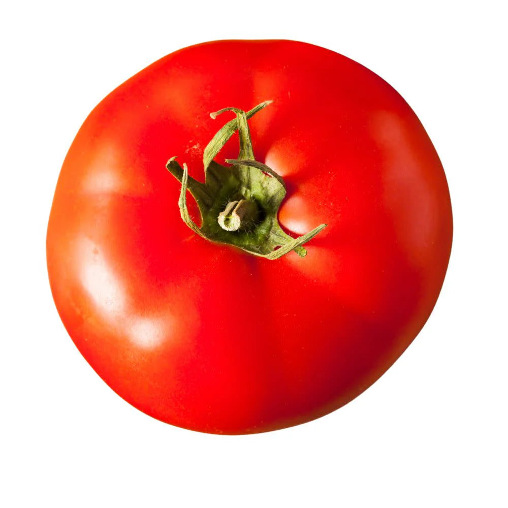 Proven Selections® Beefsteak Heirloom Tomato (Solanum lycopersicum)