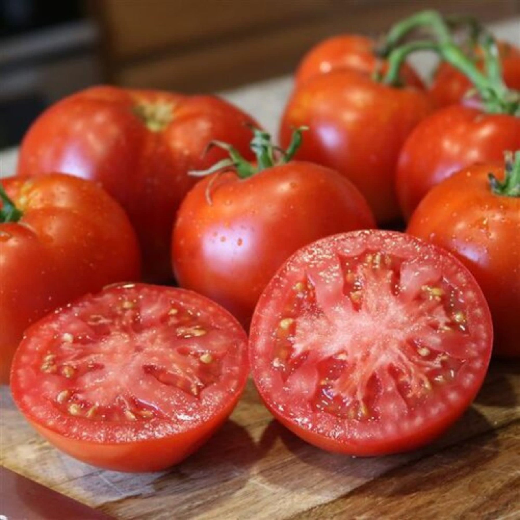 Proven Selections® Better Boy Slicing Tomato (Solanum lycopersicum)