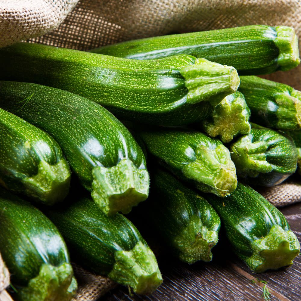 Proven Selections® Black Beauty Zucchini (Cucurbita pepo)