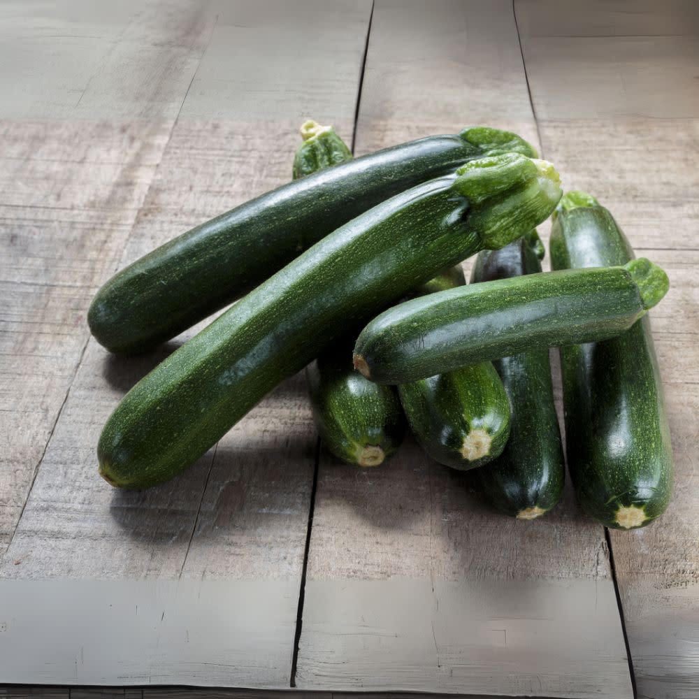 Proven Selections® Black Beauty Zucchini (Cucurbita pepo)