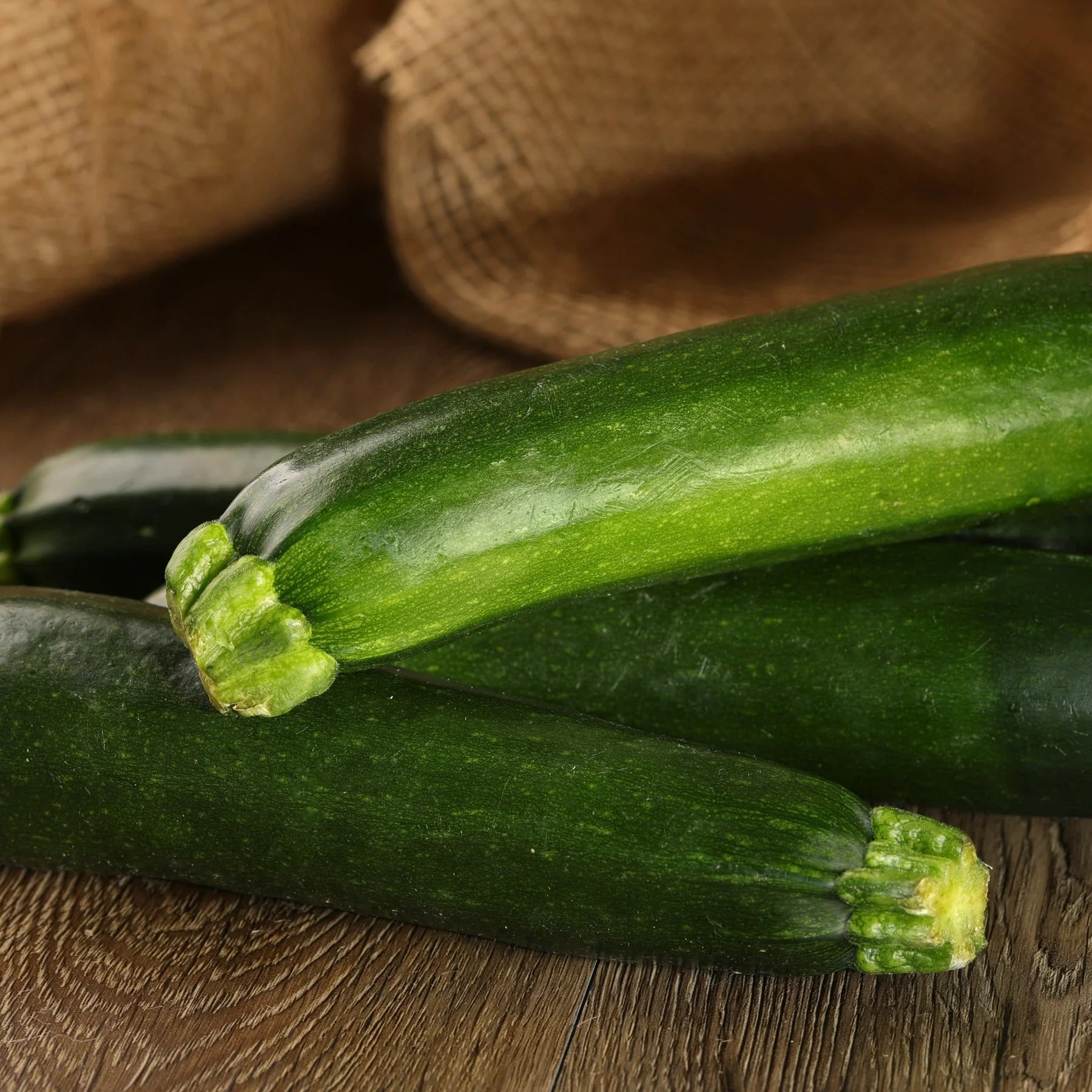 Proven Selections® Black Beauty Zucchini (Cucurbita pepo)
