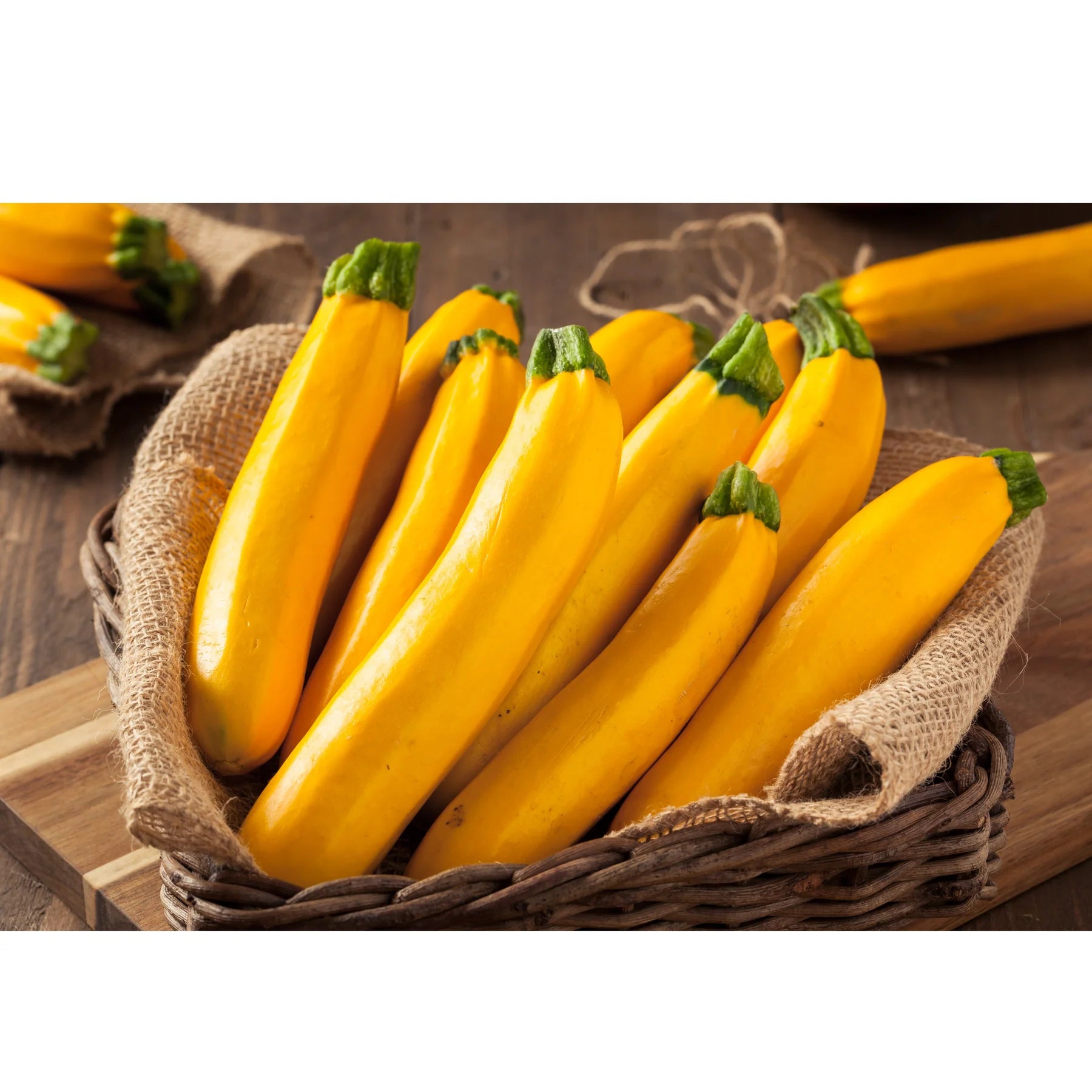 Proven Selections® Gold Rush Zucchini (Cucurbita pepo)