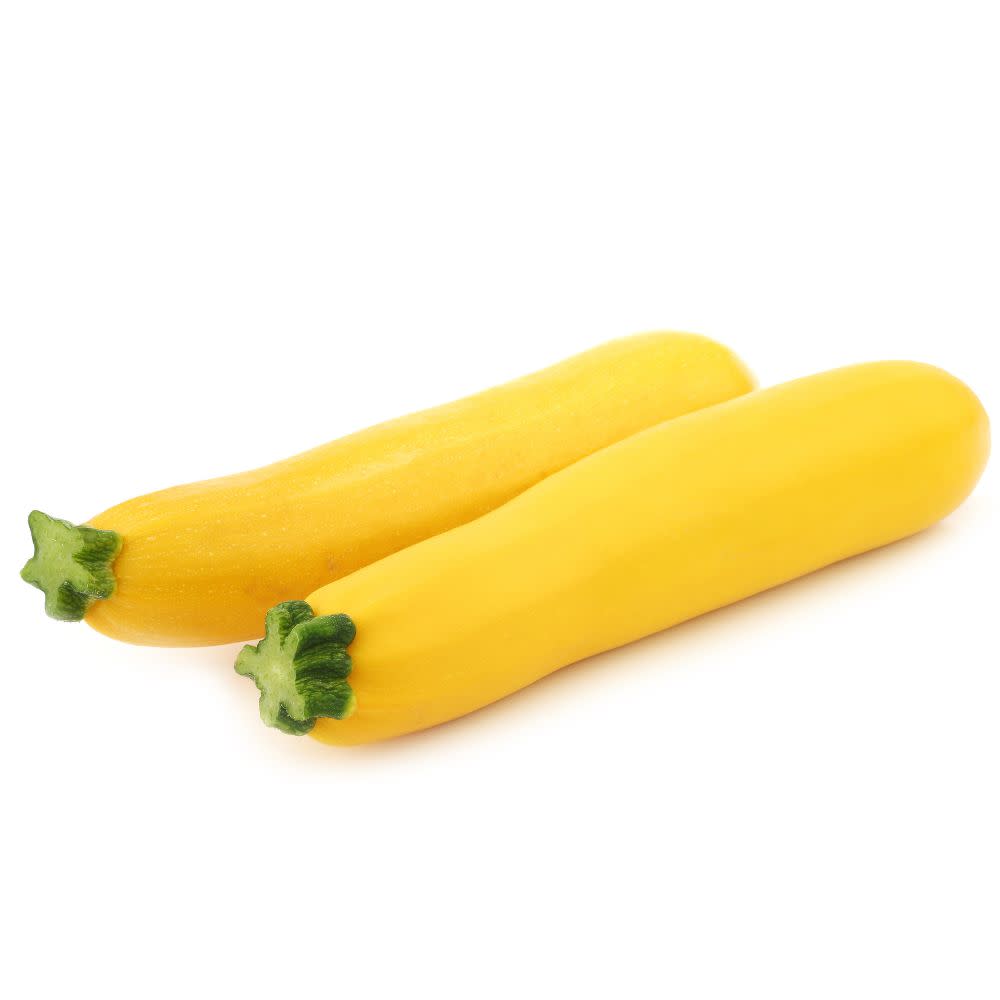 Proven Selections® Gold Rush Zucchini (Cucurbita pepo)